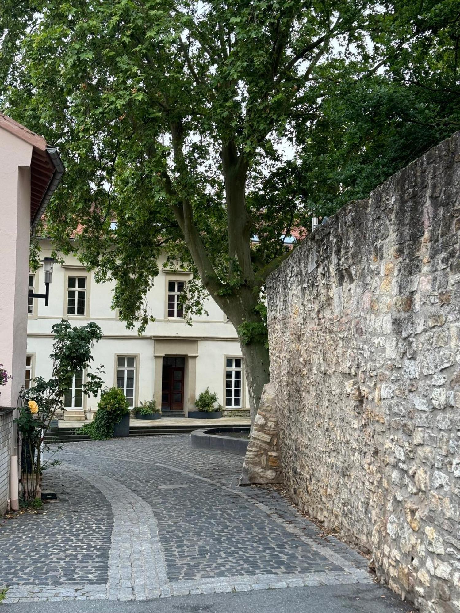 Apartment Rheinblick-oase Oppenheim