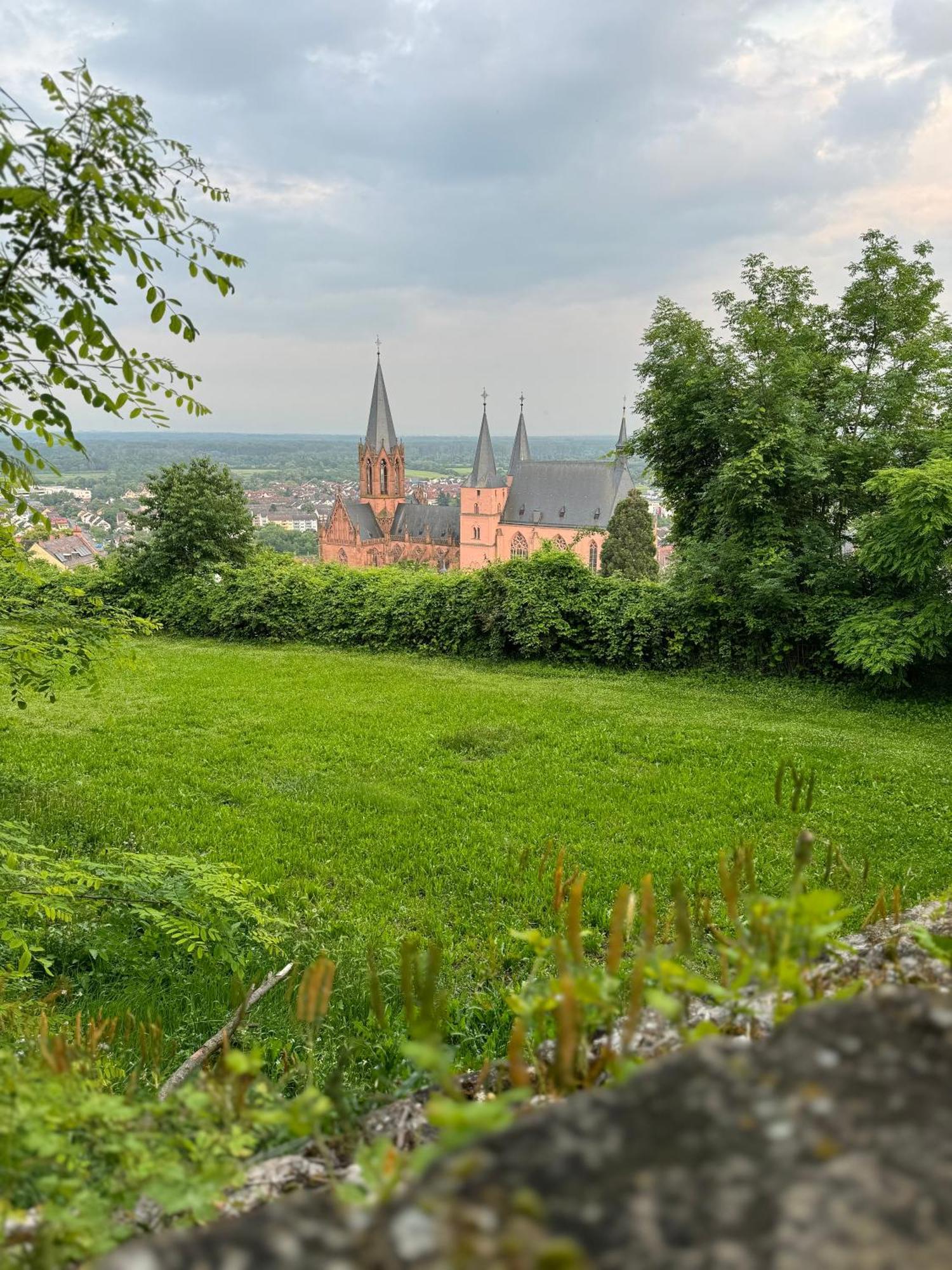 Rheinblick-oase Oppenheim